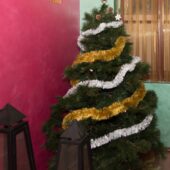  Sproing Pics (1/145)